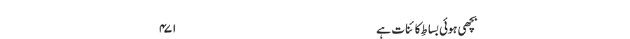 Bechi huwi basak-e-khayenat